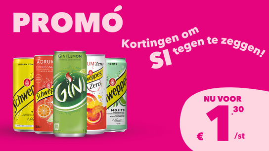 Suntory 33cl 1 voor € 1,30