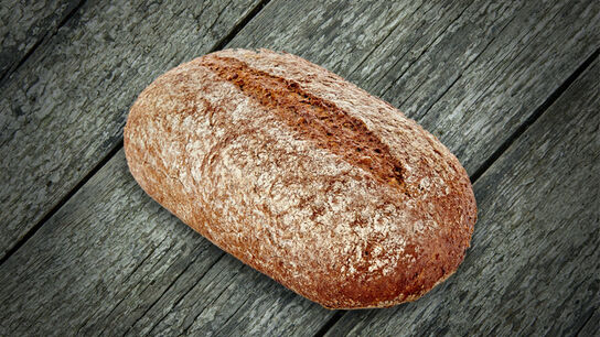 Forestier brood 600gr