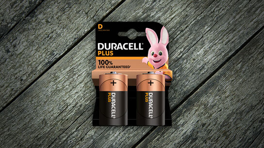 Duracell Plus Power D